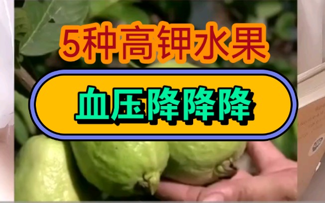 救命!5种高钾水果!血压降降降哔哩哔哩bilibili