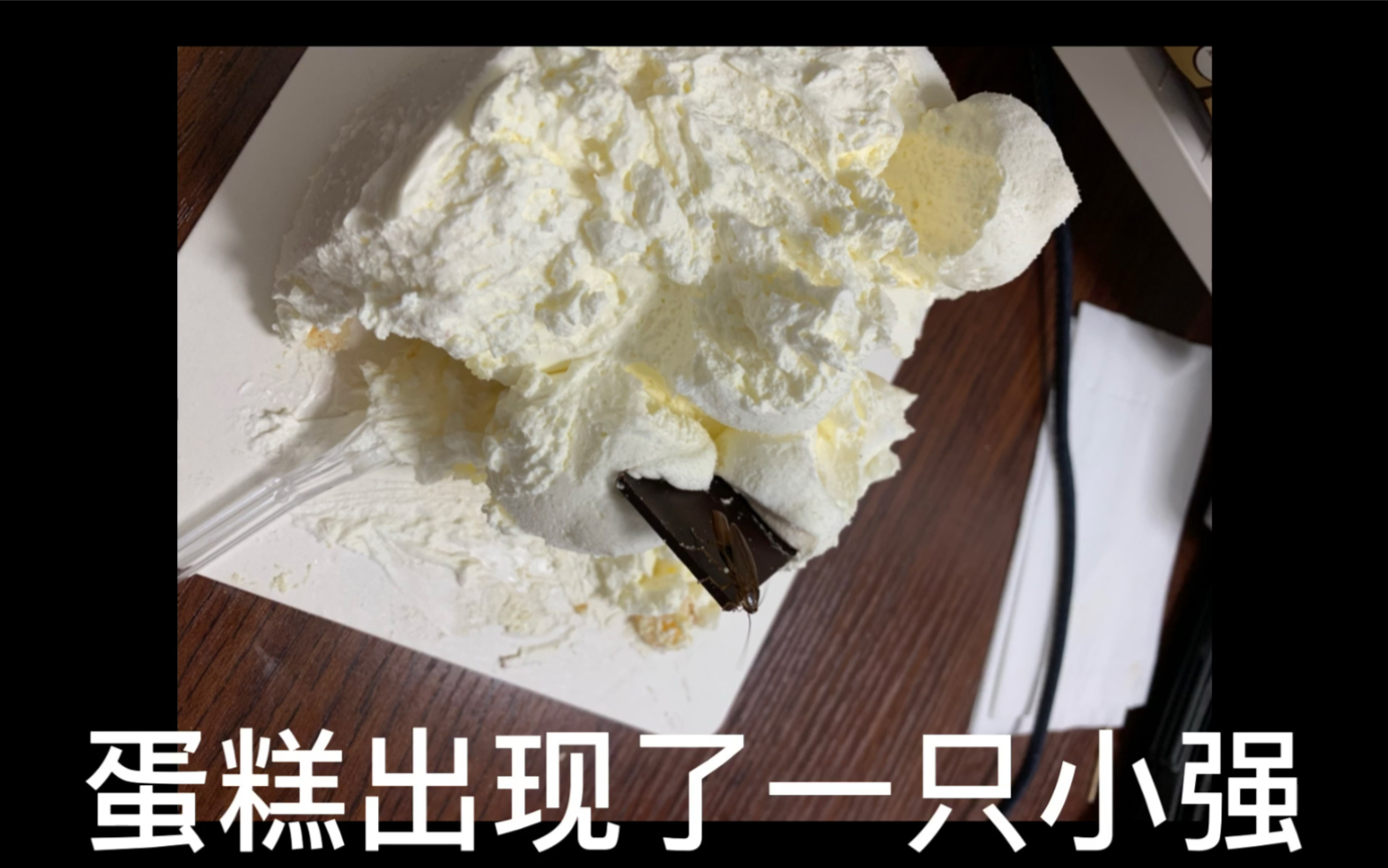 蛋糕上的蟑螂