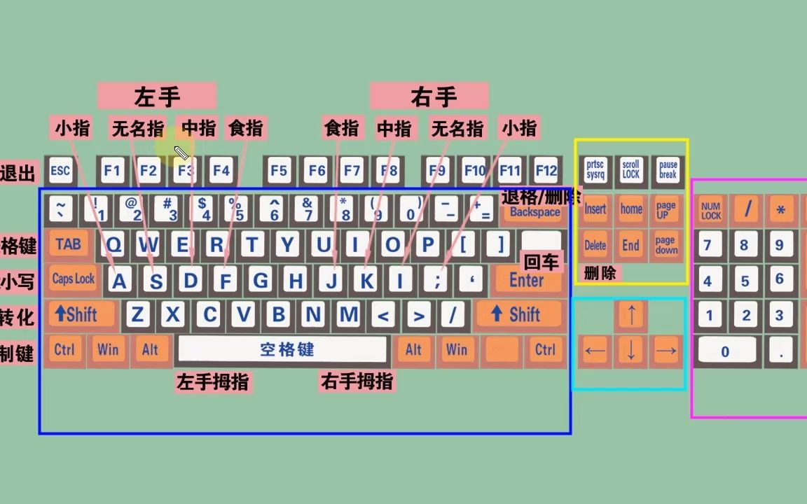 不会拼音,打字慢?来学五笔打字输入法,零基础入门教程,打字快哔哩哔哩bilibili