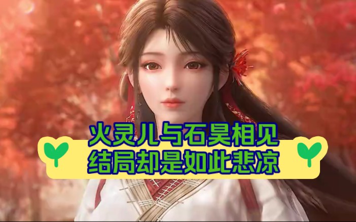 在完美世界中,火灵儿与石昊终于如大家所愿相见,可是结局为何会如此