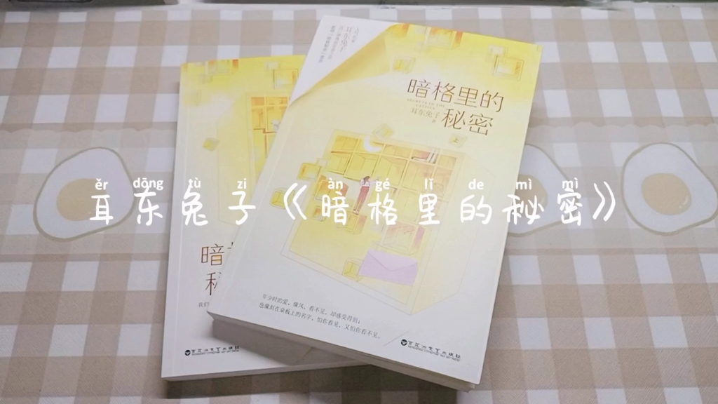 实体书开箱|耳东兔子《暗格里的秘密》哔哩哔哩bilibili