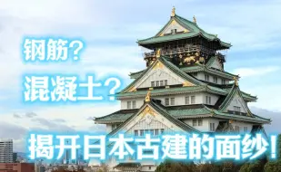 Download Video: 钢筋？混凝土？日本古建都是新造的？揭开日本古建修复的面纱