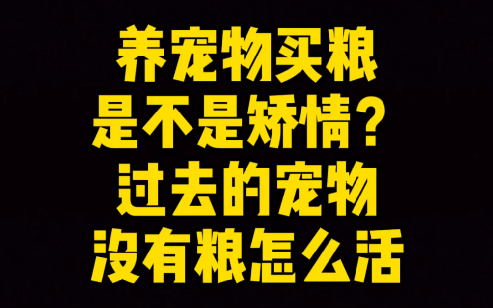 给宠物吃粮是不是矫情,怎样为宠物选择合适的粮才合理哔哩哔哩bilibili