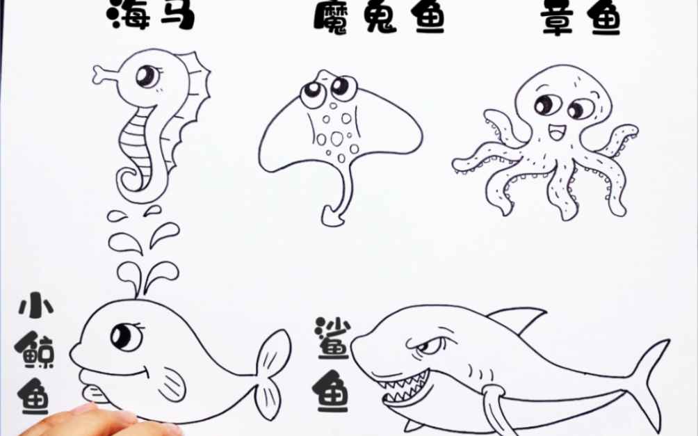 海洋生物简笔画法图片