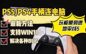 Download Video: PS4/PS5手柄连电脑，一分钟设置，畅玩极限竞速地平线5，简单教程