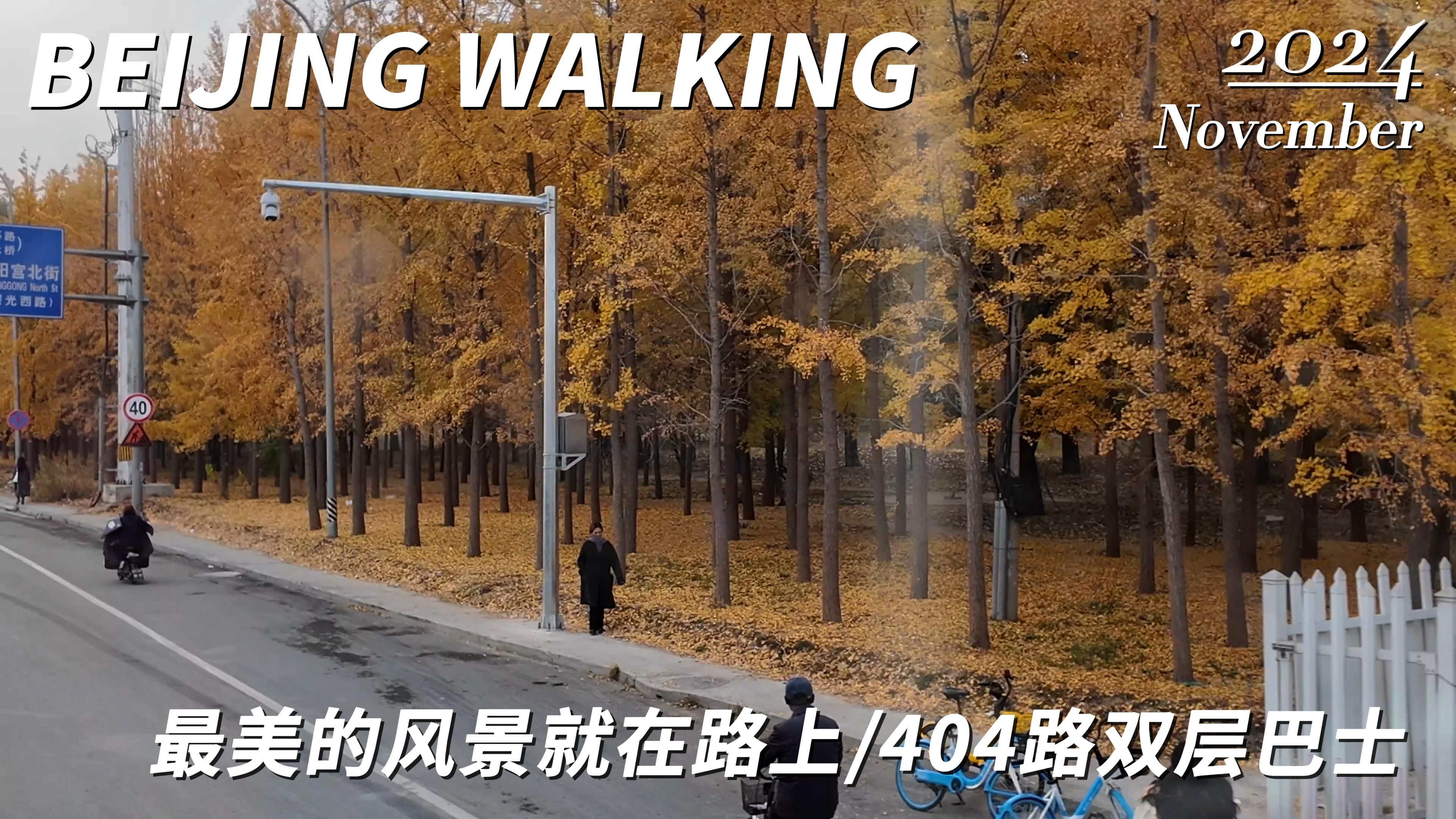 Beijing Walking,坐着404路双层巴士游览北京秋景|来广营|望京|广顺大街|花家地|京密路|三元桥|左家庄|东直门哔哩哔哩bilibili