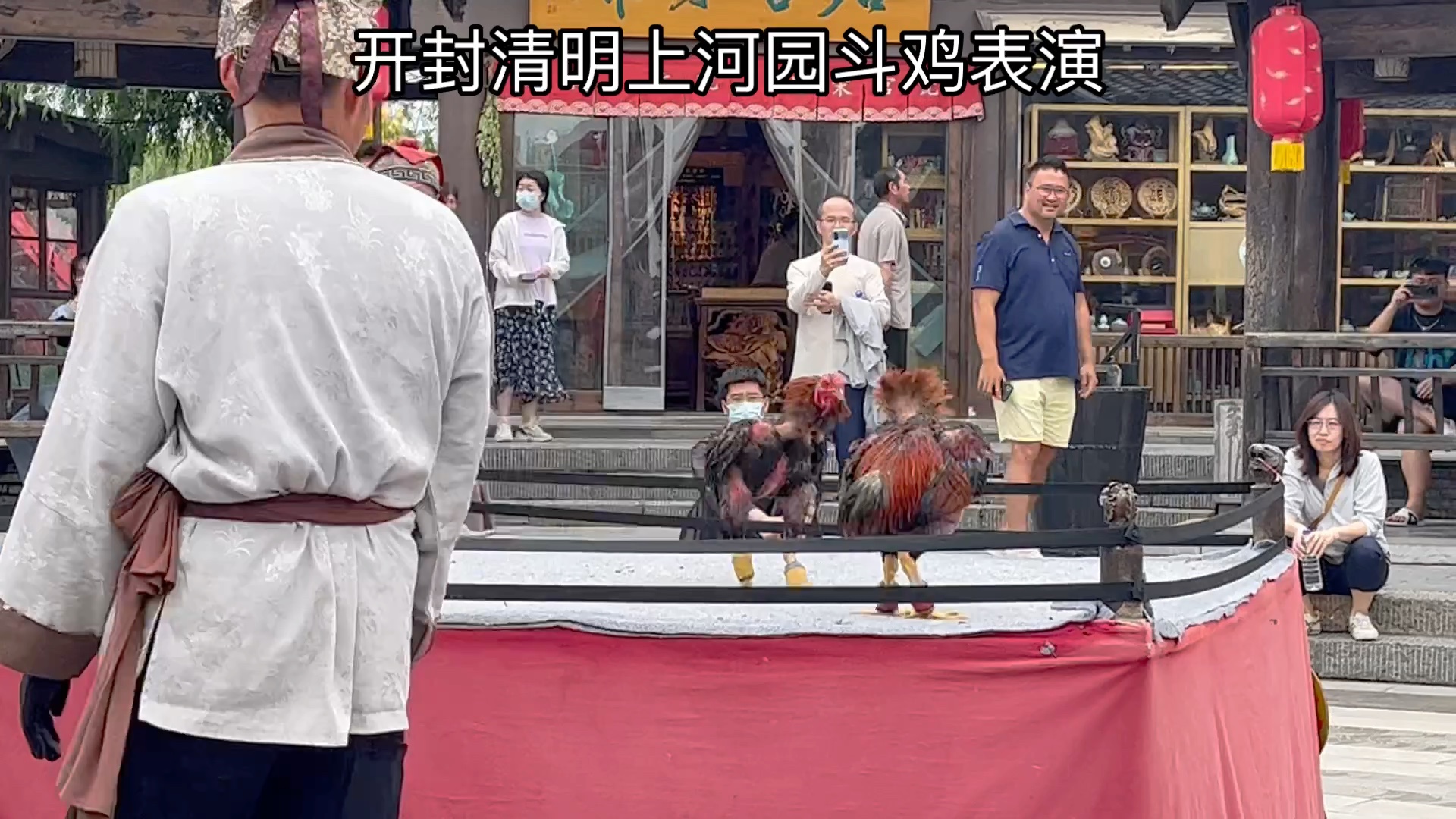 河南开封清明上河园斗鸡表演