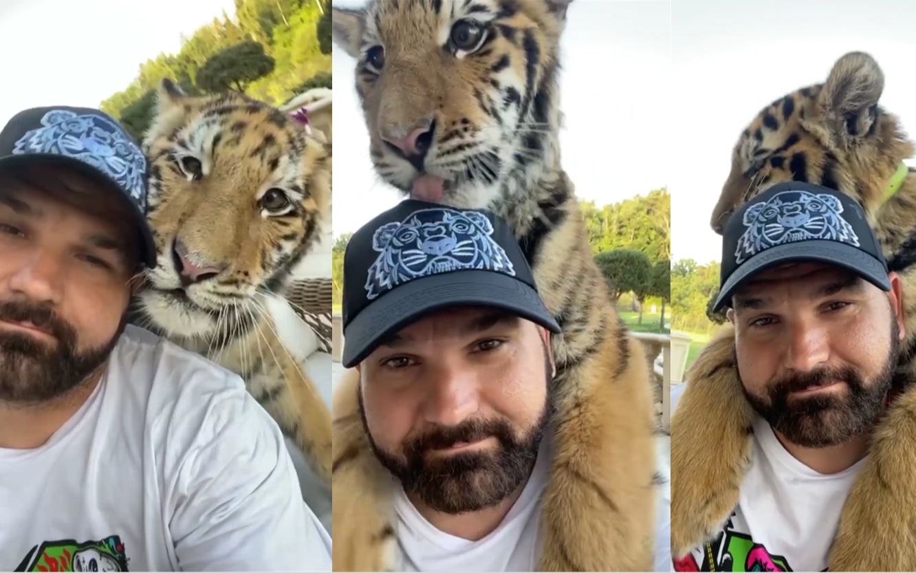 活动  俄罗斯人:小老虎的爱太沉重!