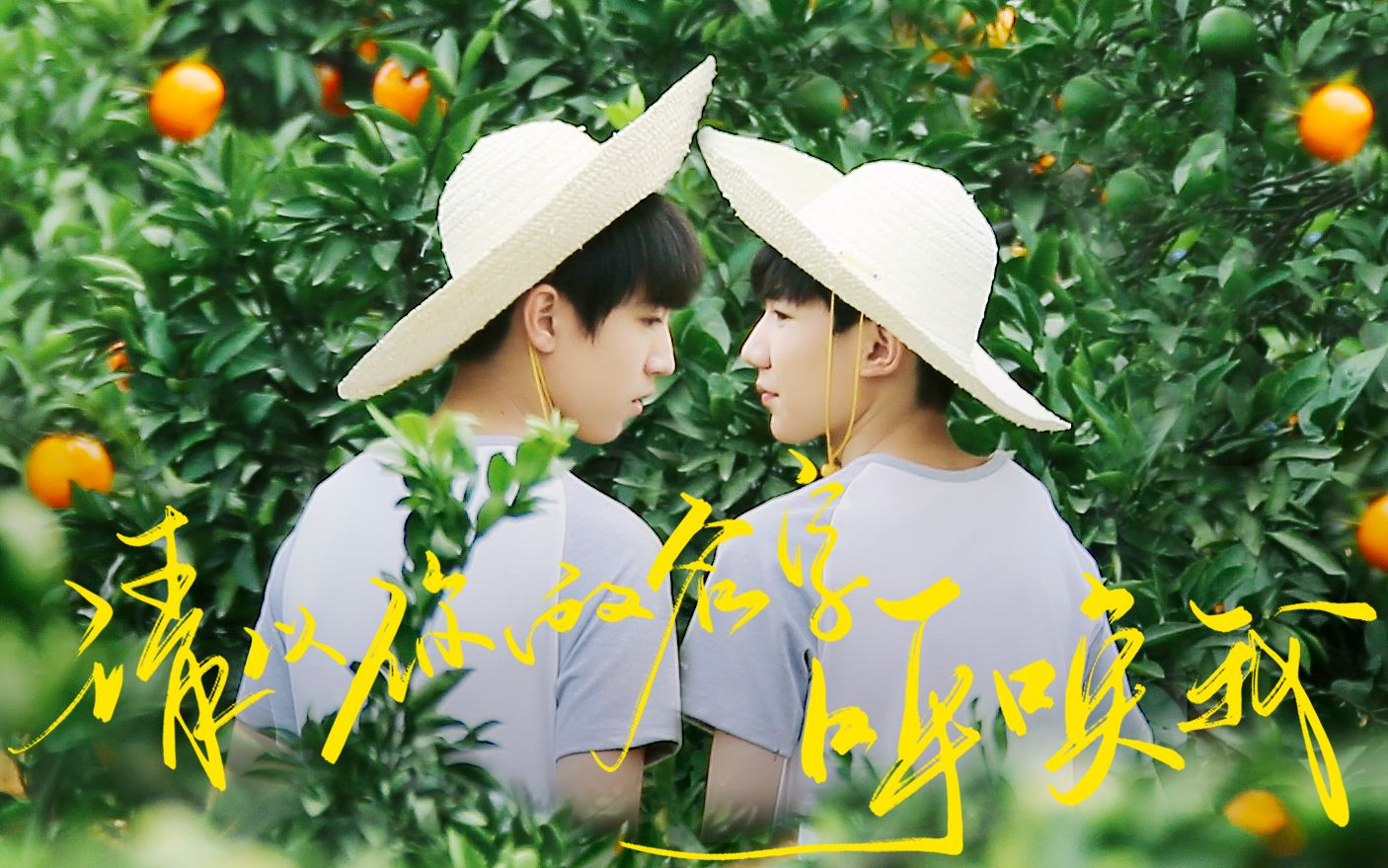 【凯源】请以你的名字呼唤我 (call me by your name)