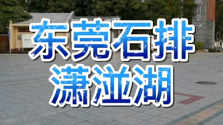 东莞市石排镇潇湴湖哔哩哔哩bilibili