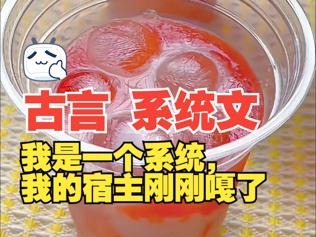 系统太精:好看但不火的小说哔哩哔哩bilibili