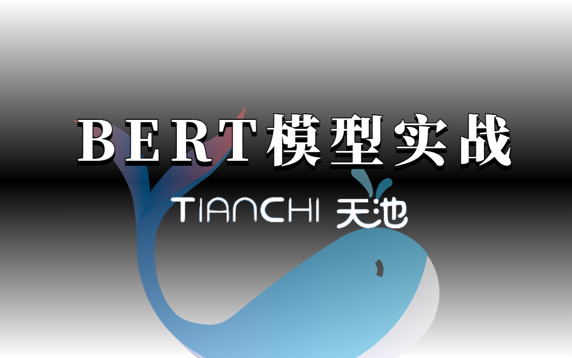 吹爆!目前最全最好的【BERT模型实战教程】datawhale+阿里云天池大赛强推的NLP框架教程(自然语言处理/深度学习/LSTM情感分析/RNN)哔哩哔哩...