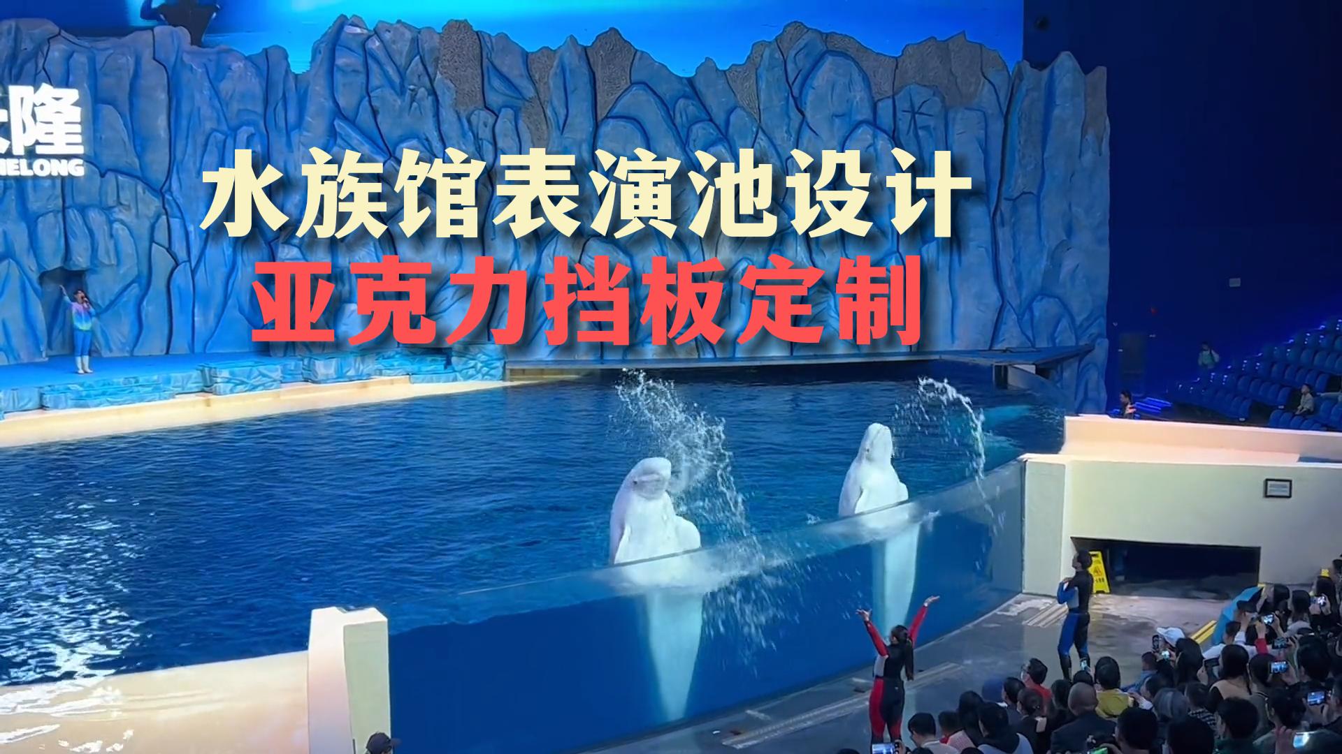 水族馆大型生物表演池设计,亚克力挡板定制哔哩哔哩bilibili