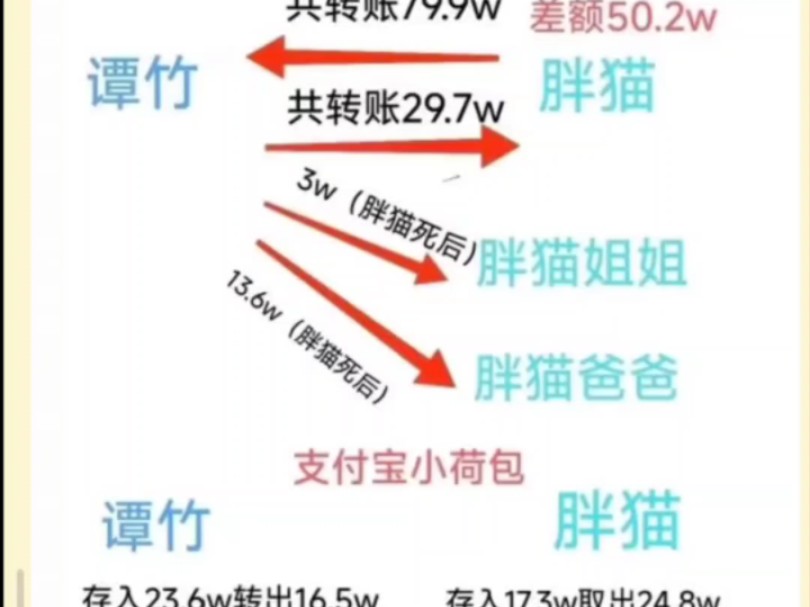 胖猫时间线回顾,补档第1次哔哩哔哩bilibili