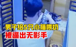 Tải video: 男子给5只小猫喂奶被逼出无影手：宠物店员工的正常操作