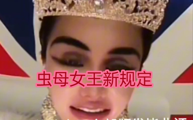 没有灯牌的虫子全部颁发毕业证!拉黑