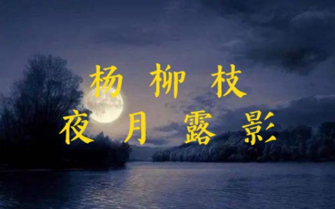 [图]诗词欣赏：无语者《杨柳枝·夜月露影》