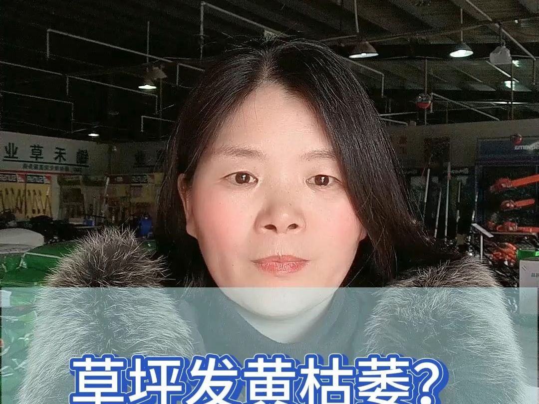 草坪发黄枯萎?教你一个不花钱的小妙招!哔哩哔哩bilibili