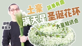 中华花艺教学视频 茶席花与环境布置 哔哩哔哩 つロ干杯 Bilibili