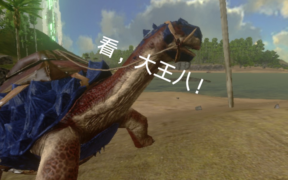 方舟生存进化手游吸子弹的王8淡水碳龟