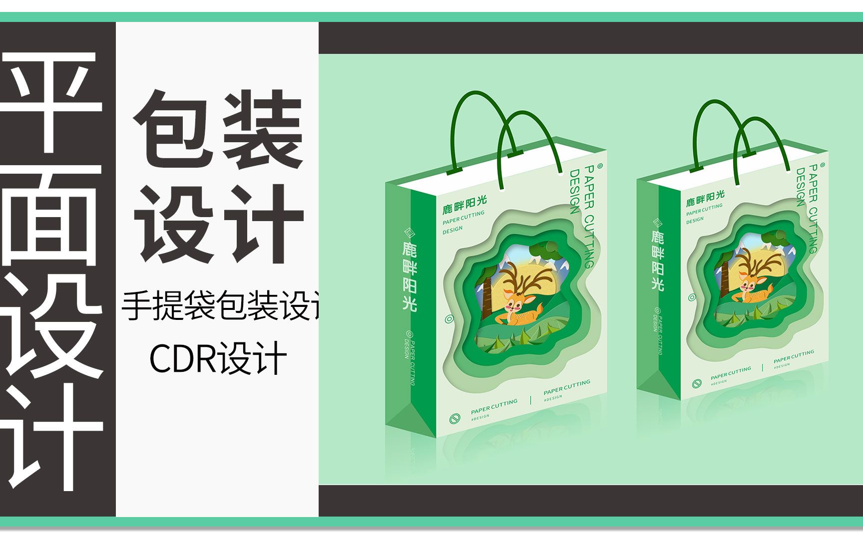 bilibili.comcdr包装设计(手提袋)www.bilibili.com  6分钟11秒第82期