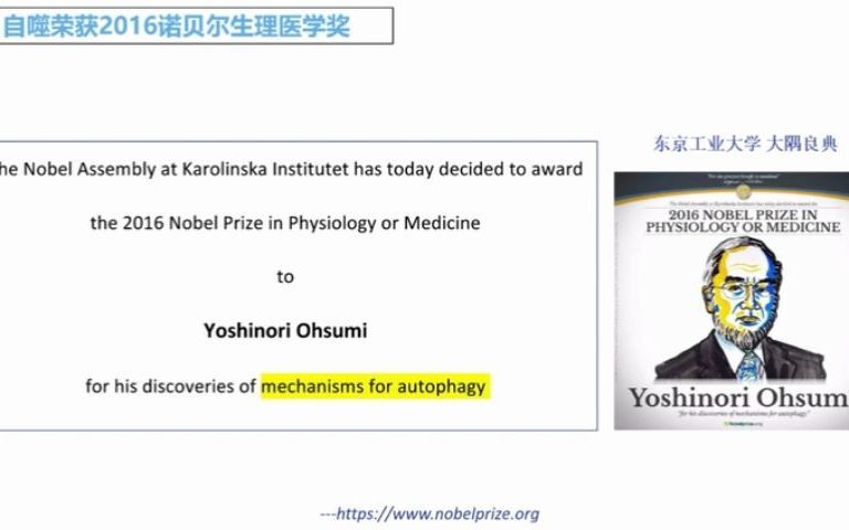 自噬研究攻略汉恒生物哔哩哔哩bilibili