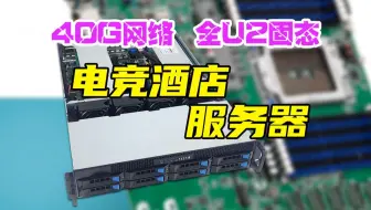 电竞酒店用的无盘系统服务器！硬件配置  AMD霄龙48核心CPU  320G内存 TYAN泰安S8036主板居然板载16个4.0 U2硬盘接口 2U机架式服务器