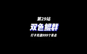 Descargar video: 第29站【双色鲲群】你见过圣岛海里的遥鲲吗