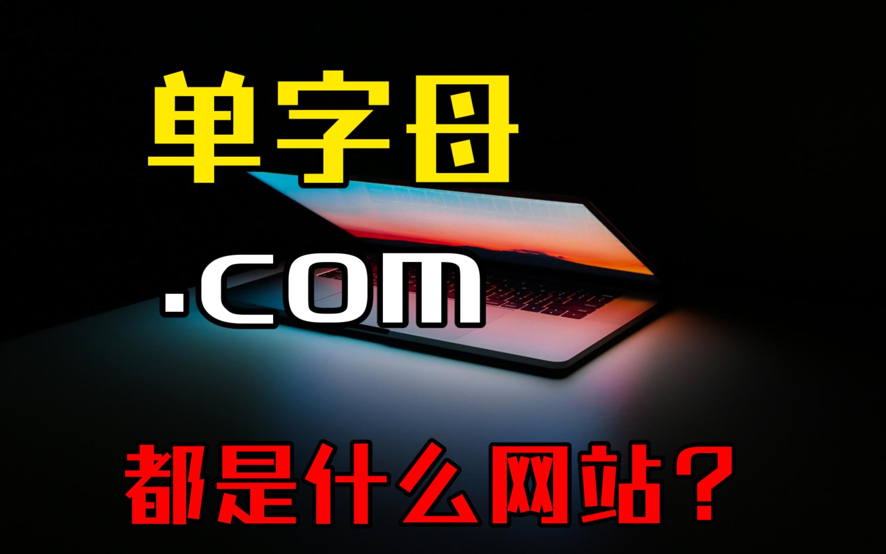 【涨知识】单字母.COM域名都是什么网站?哔哩哔哩bilibili