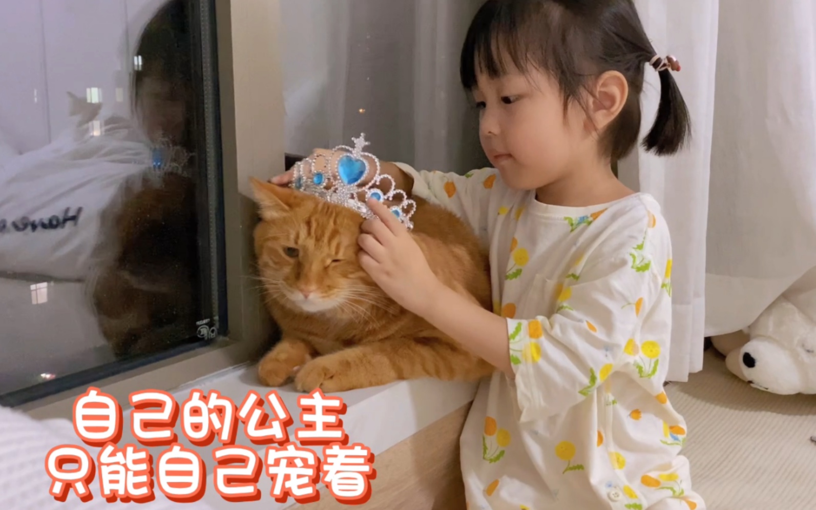 橘猫:我和我的话唠小主人哔哩哔哩bilibili