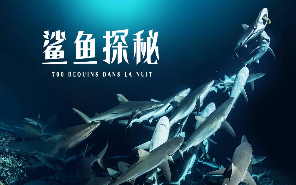 [图]【法国】【纪录片】鲨鱼探秘 Shark exploration