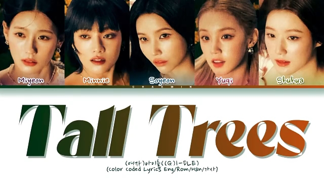 (G)IDLE《Tall Tree》哔哩哔哩bilibili