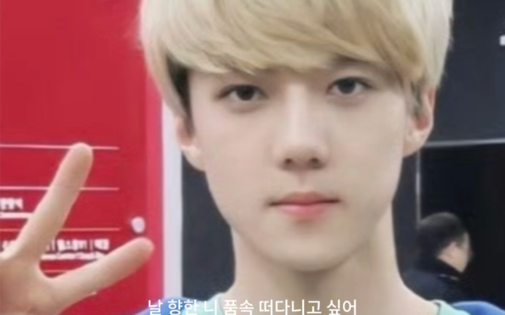 吴世勋早期小奶包