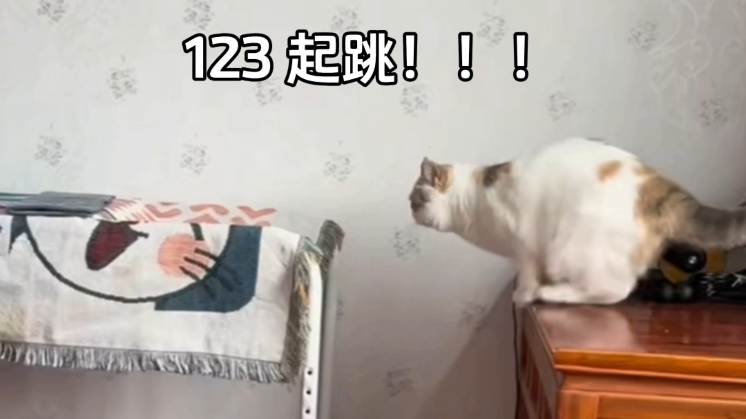 咪：嚯我～～～丢儿，根本就没有很想玩儿