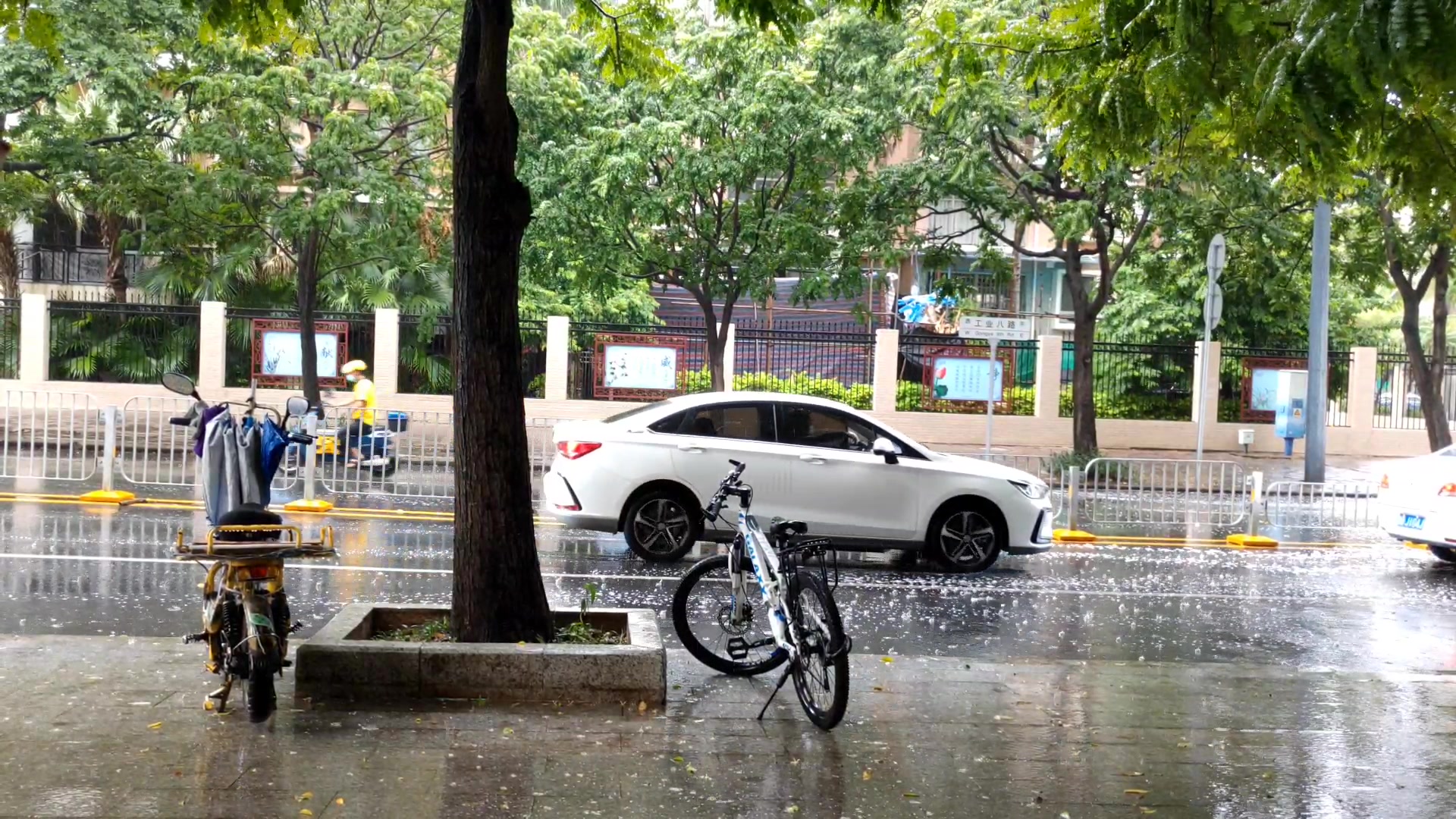 下雨了深圳又开启天气随机模式前一秒还阳光普照后一秒暴雨倾盆