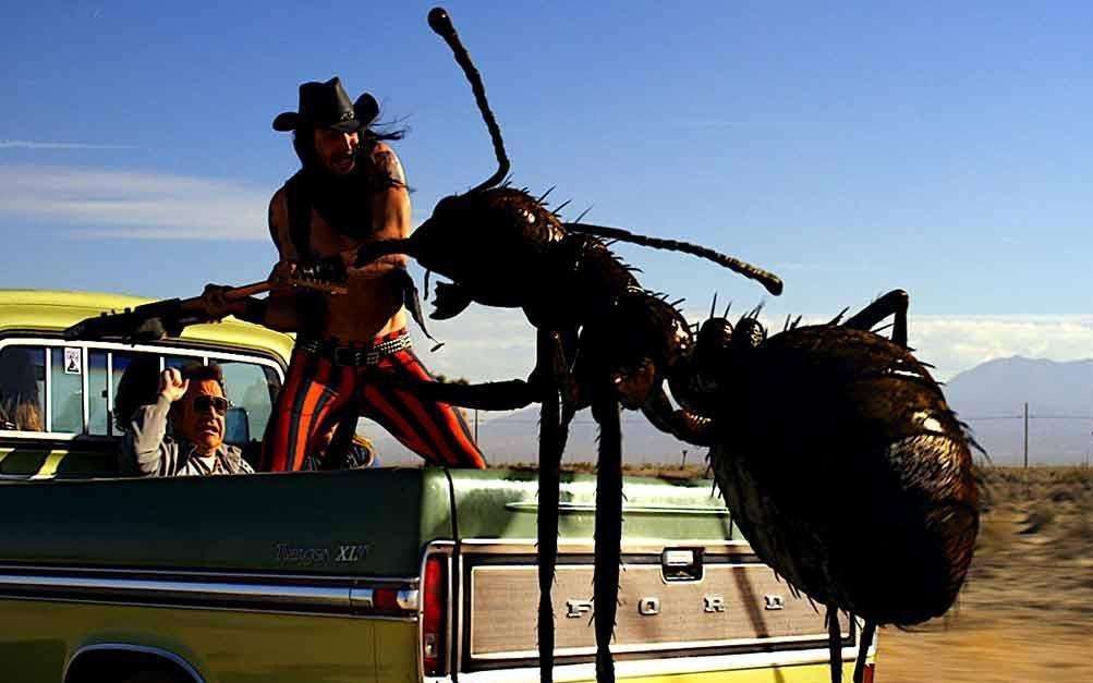 吃人的蚂蚁要来了?就问你慌不慌!反正我慌了【20201025直播录屏】