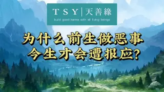 Descargar video: 为什么前世做恶今生遭报应｜天善缘｜泰国老郑