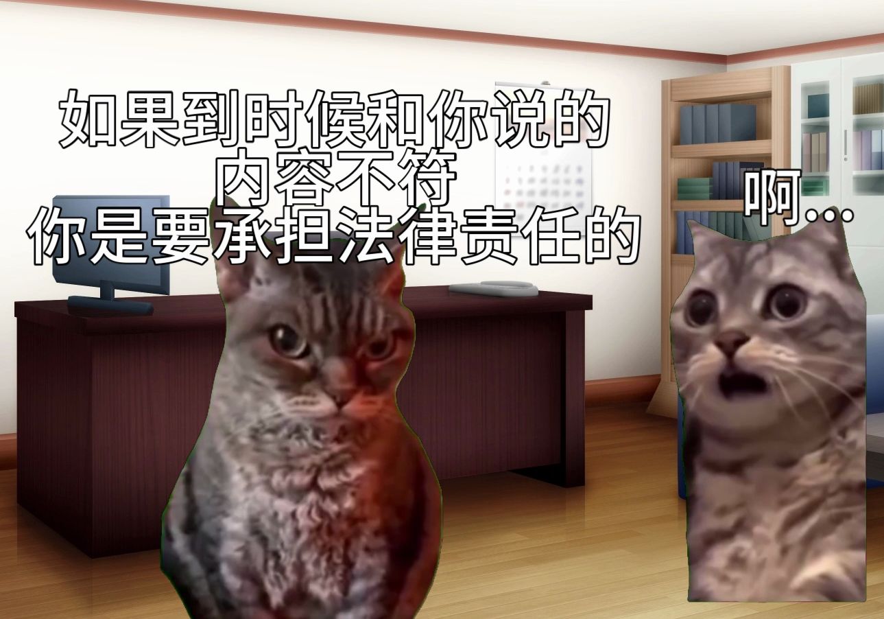 【猫meme】又一次在派出所翻译哔哩哔哩bilibili