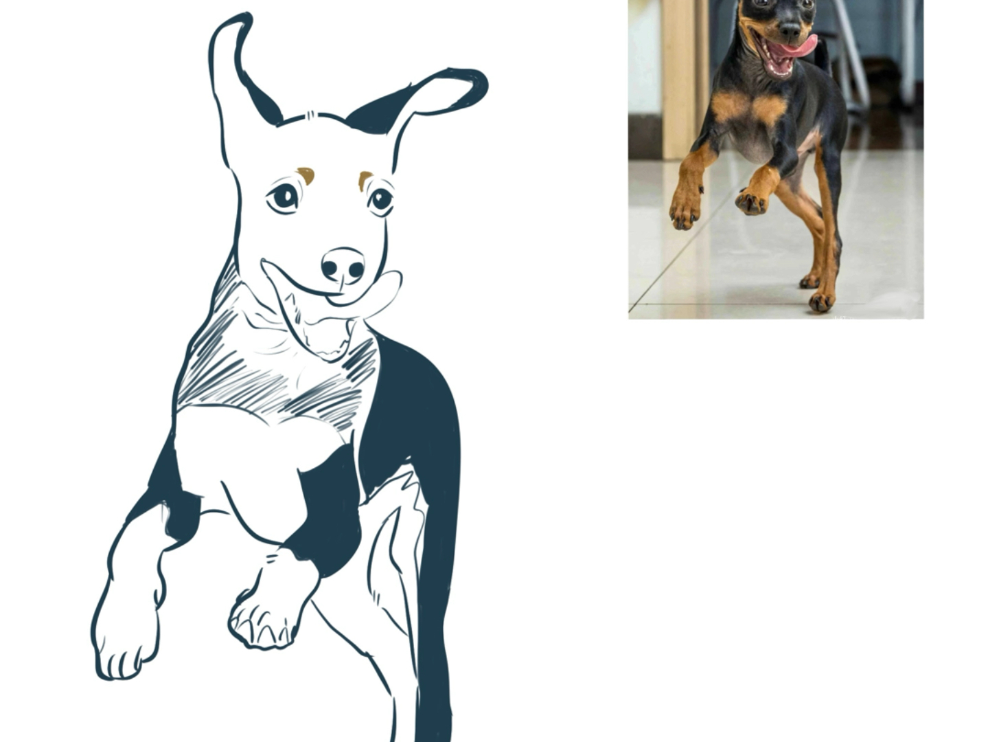 猫咪戴眼镜超可爱!插画版vs真实照