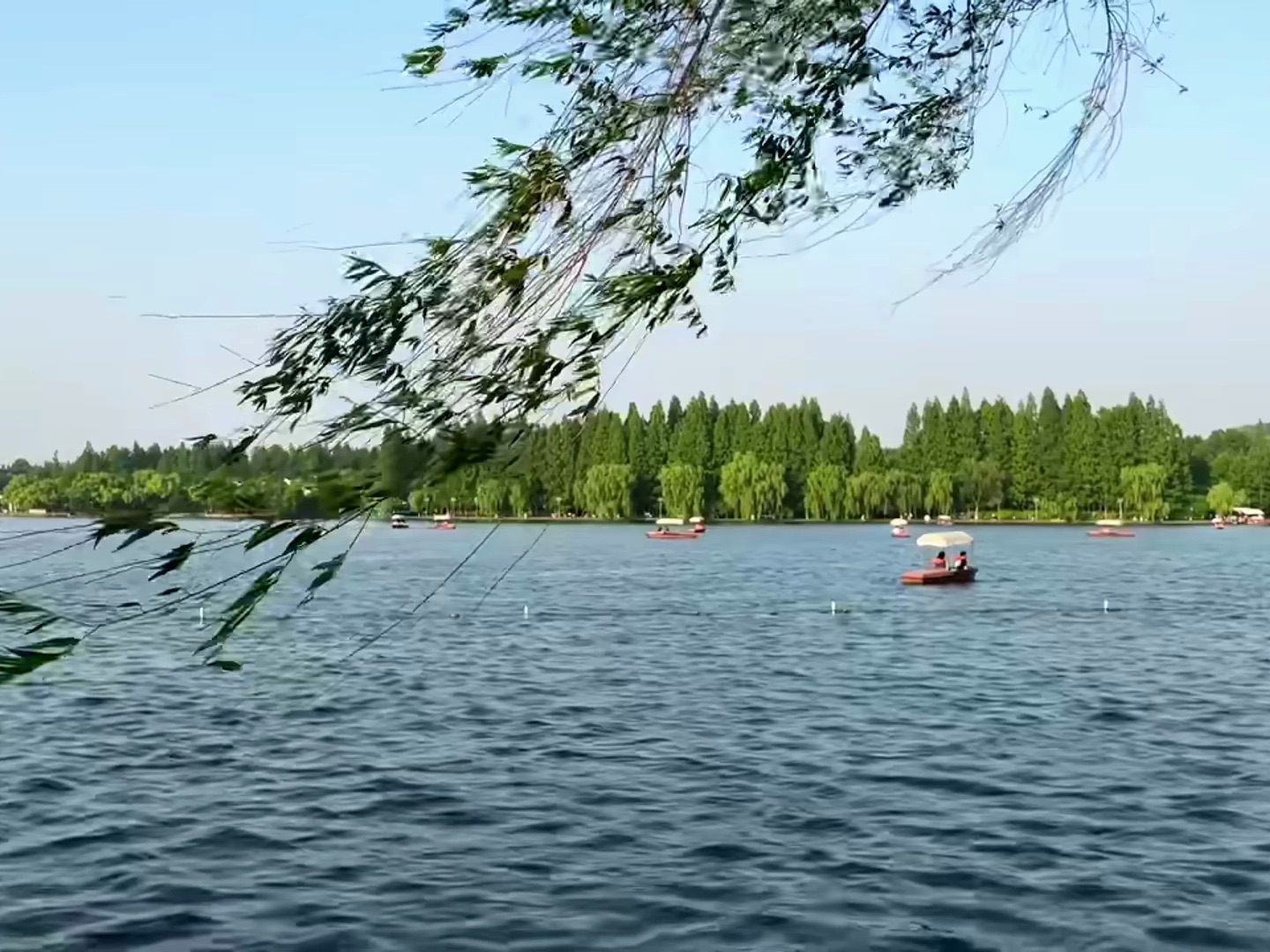 杭州西湖简直太美了! 风景如画,不看看一定后悔,西湖十景、新西湖十景. #西湖美景, #杭州旅游, #自然奇观, #文化遗迹, #杭州名胜, #山水哔哩...