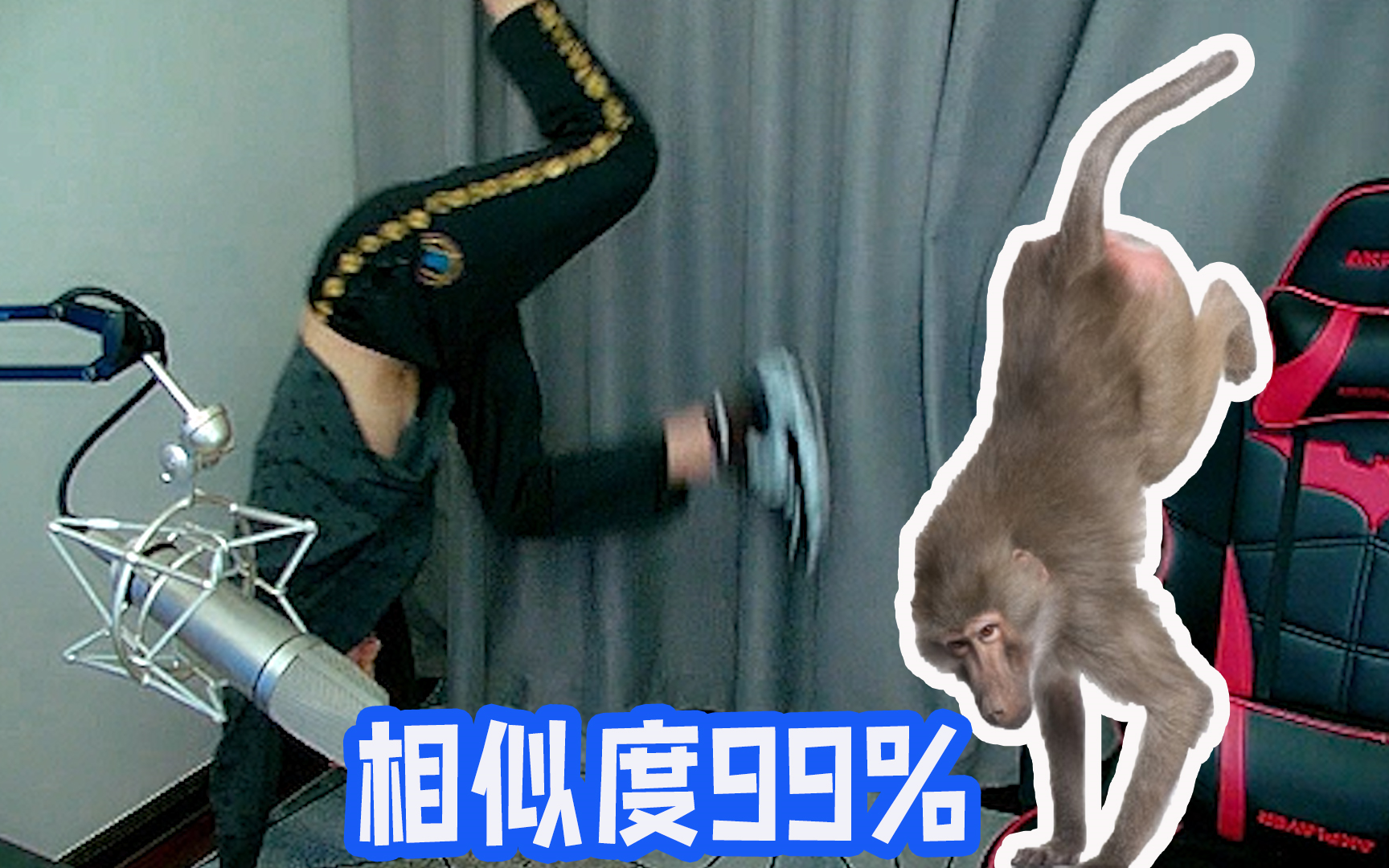 是什么让酷酷的鑫直播学猴?哔哩哔哩bilibili