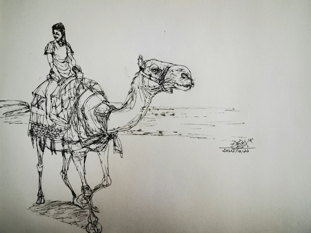 划拉一下骑骆驼.