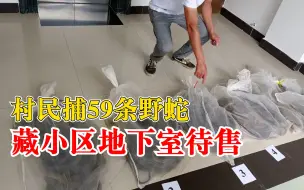 Download Video: 村民捕59条野蛇藏小区地下室待售，业主发现车库有蛇出没后举报