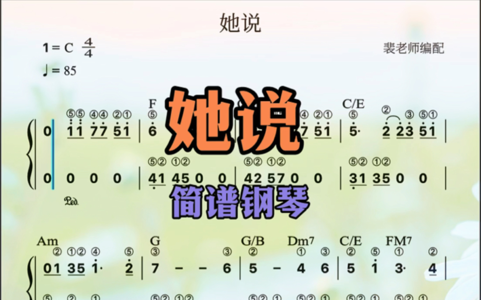 她说数字钢琴谱图片