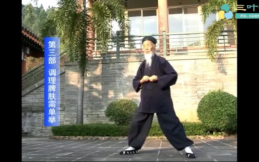 [图]【修身】张至顺-八部金刚功长寿功【完整演示版+详解教学版】道家养生功法