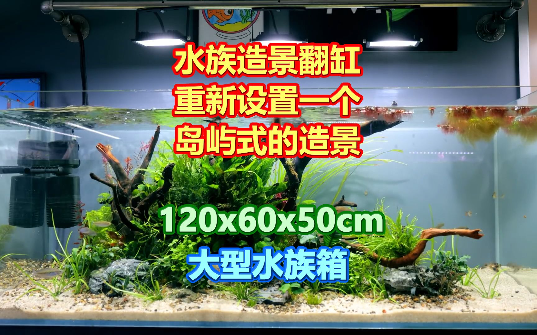 水族造景翻缸,重新设置一个岛屿式的水族造景,120x60x50cm哔哩哔哩bilibili