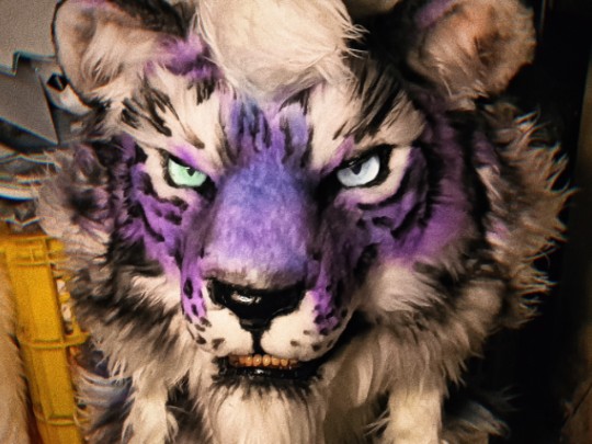 写实紫老虎兽装展示