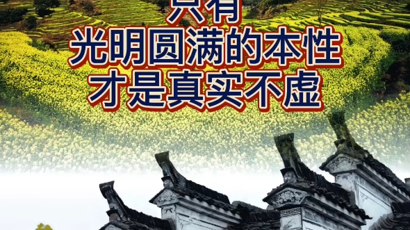 [图]祖先祈祷文 今天是清明节，在今日诵读祈祷文与祖先进行链接，感恩祖先！