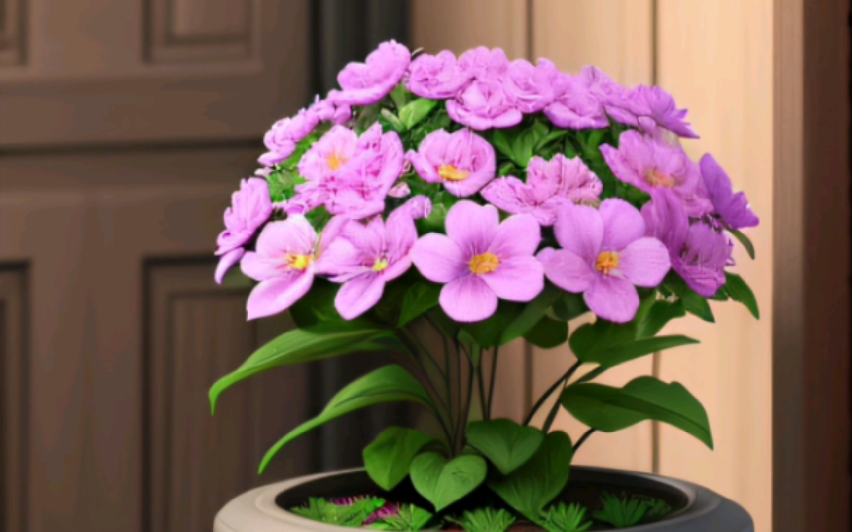 花是大自然的馈赠.花的颜色,形状和芬芳都来源于大自然的恩赐.