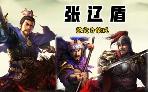 Download Video: 辽盾——张辽走盾？好像在玩很新的东西《三国志战略版》【三战攻略簿】